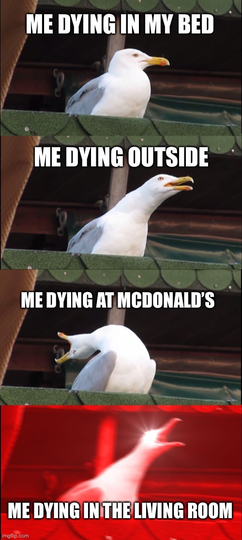 Inhaling Seagull Meme | ME DYING IN MY BED; ME DYING OUTSIDE; ME DYING AT MCDONALD’S; ME DYING IN THE LIVING ROOM | image tagged in memes,inhaling seagull | made w/ Imgflip meme maker