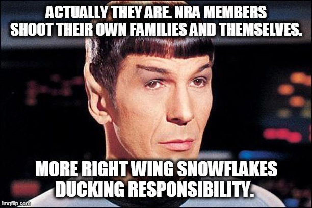Condescending Spock | ACTUALLY THEY ARE. NRA MEMBERS SHOOT THEIR OWN FAMILIES AND THEMSELVES. MORE RIGHT WING SNOWFLAKES DUCKING RESPONSIBILITY. | image tagged in condescending spock | made w/ Imgflip meme maker