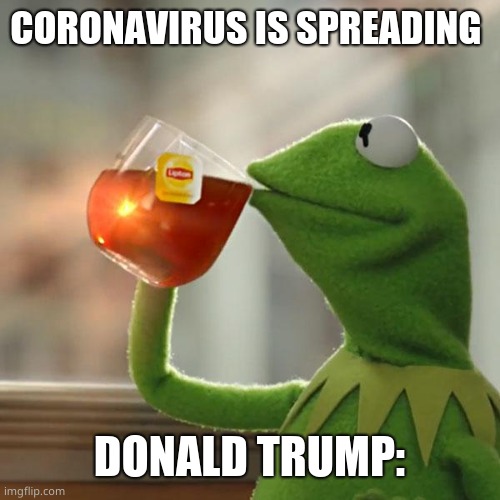 Trump on coronavirus | CORONAVIRUS IS SPREADING; DONALD TRUMP: | image tagged in memes,but thats none of my business,kermit the frog | made w/ Imgflip meme maker