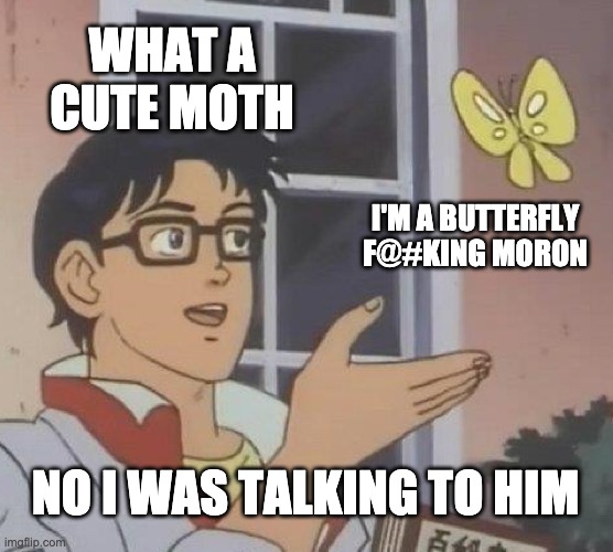 Is This A Pigeon | WHAT A CUTE MOTH; I'M A BUTTERFLY F@#KING MORON; NO I WAS TALKING TO HIM | image tagged in memes,is this a pigeon | made w/ Imgflip meme maker
