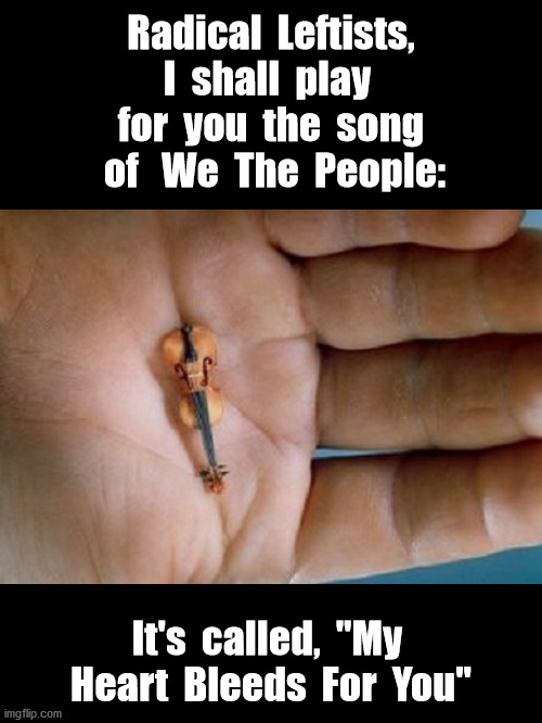 We The (Majority) People | Radical  Leftists, I  shall  play  for  you  the  song  of   We  The  People:; It's  called,  "My  Heart  Bleeds  For  You" | image tagged in political meme,sjws | made w/ Imgflip meme maker