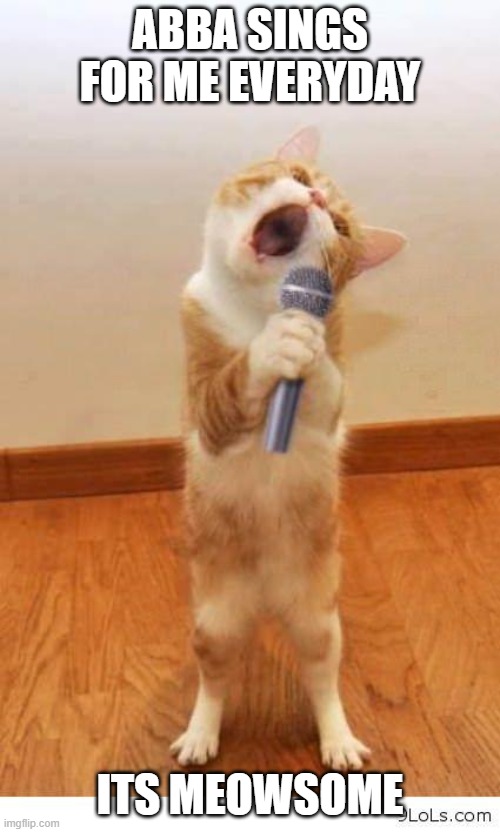 Cat Singer | ABBA SINGS FOR ME EVERYDAY; ITS MEOWSOME | image tagged in cat singer | made w/ Imgflip meme maker