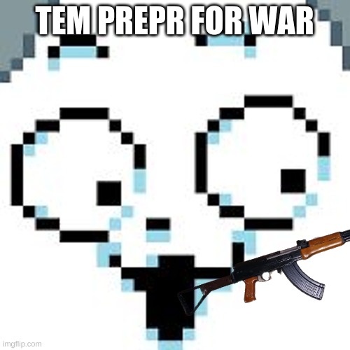 tEMMIE  | TEM PREPR FOR WAR | image tagged in temmie | made w/ Imgflip meme maker