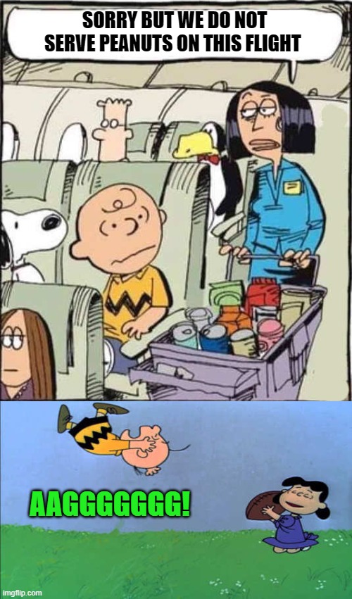 we don't serve peanuts | SORRY BUT WE DO NOT SERVE PEANUTS ON THIS FLIGHT; AAGGGGGGG! | image tagged in charlie brown,snoopy,united airlines | made w/ Imgflip meme maker