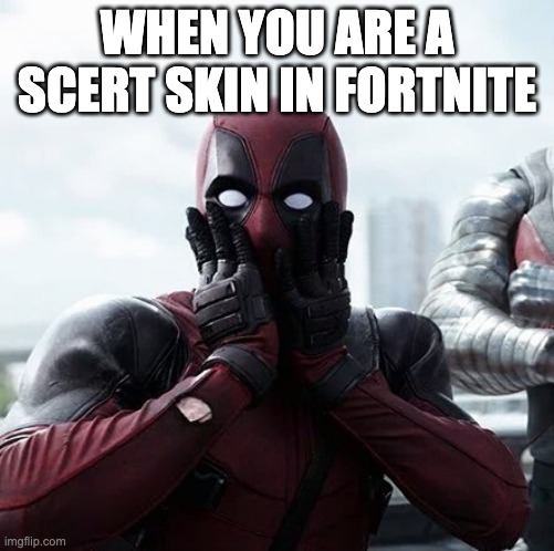 Deadpool Surprised | WHEN YOU ARE A SCERT SKIN IN FORTNITE | image tagged in memes,deadpool surprised | made w/ Imgflip meme maker