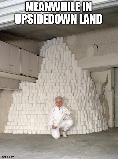 mountain of toilet paper | MEANWHILE IN UPSIDEDOWN LAND | image tagged in mountain of toilet paper | made w/ Imgflip meme maker