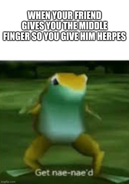Get nae nae'd | WHEN YOUR FRIEND GIVES YOU THE MIDDLE FINGER SO YOU GIVE HIM HERPES | image tagged in get nae nae'd | made w/ Imgflip meme maker