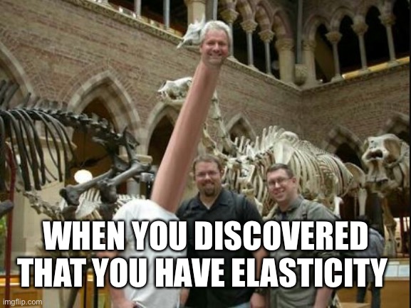 Long Neck | WHEN YOU DISCOVERED THAT YOU HAVE ELASTICITY | image tagged in long neck | made w/ Imgflip meme maker