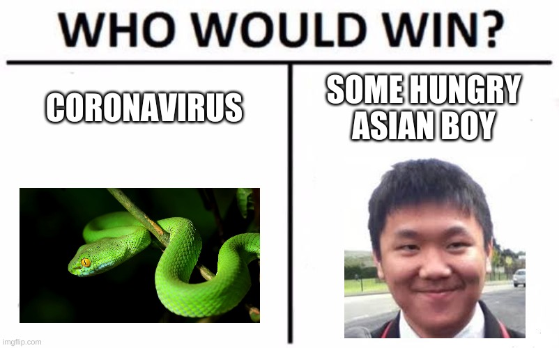 Who Would Win? | CORONAVIRUS; SOME HUNGRY ASIAN BOY | image tagged in memes,who would win | made w/ Imgflip meme maker