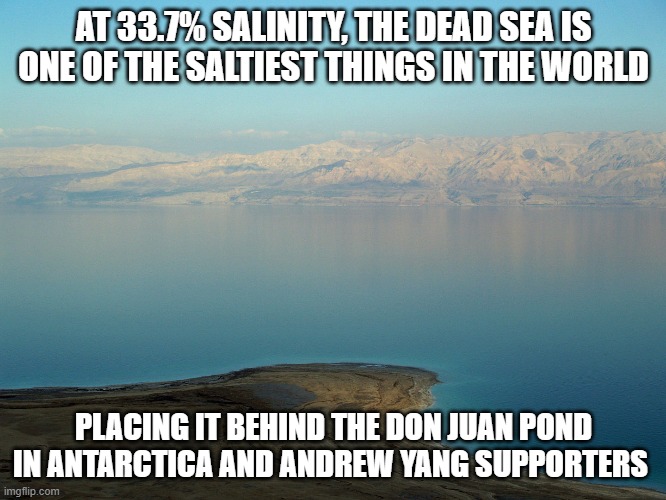 Salty Yang Gang | AT 33.7% SALINITY, THE DEAD SEA IS ONE OF THE SALTIEST THINGS IN THE WORLD; PLACING IT BEHIND THE DON JUAN POND IN ANTARCTICA AND ANDREW YANG SUPPORTERS | image tagged in yang,democratic party | made w/ Imgflip meme maker