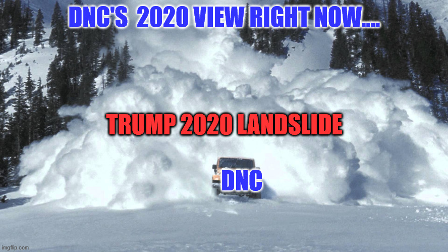 Avalanche | DNC'S  2020 VIEW RIGHT NOW.... TRUMP 2020 LANDSLIDE; DNC | image tagged in avalanche | made w/ Imgflip meme maker
