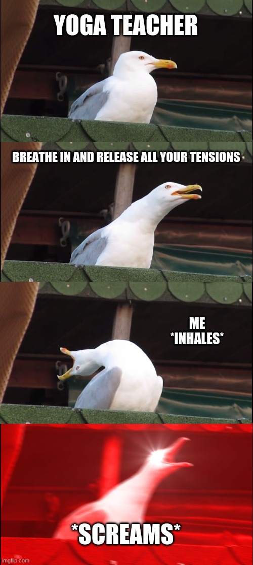 Inhaling Seagull Meme | YOGA TEACHER; BREATHE IN AND RELEASE ALL YOUR TENSIONS; ME
*INHALES*; *SCREAMS* | image tagged in memes,inhaling seagull | made w/ Imgflip meme maker