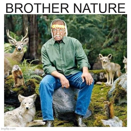 It's Brother Nature Brother | BROTHER NATURE | image tagged in memes,hulk hogan,brother nature,brother,nature,animals | made w/ Imgflip meme maker