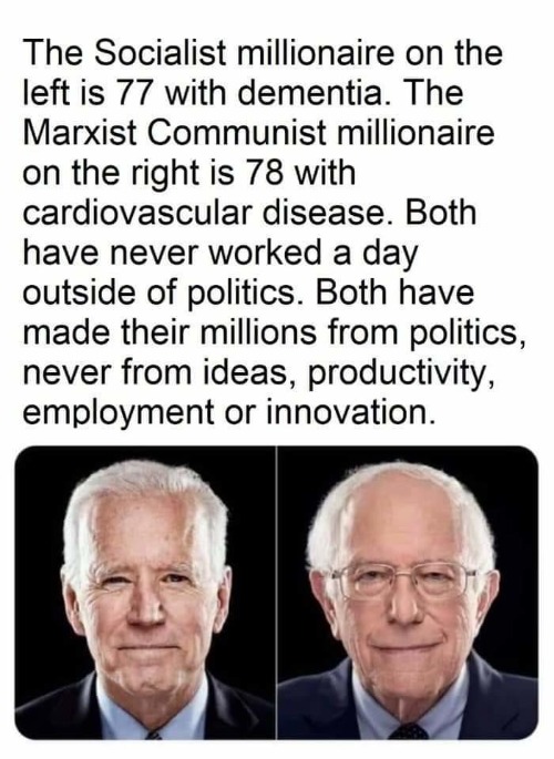 These 2 fossils are the best Democrats have to offer | image tagged in election 2020,fossil fuel,communism socialism,democratic socialism,liberal hypocrisy,alzheimers | made w/ Imgflip meme maker