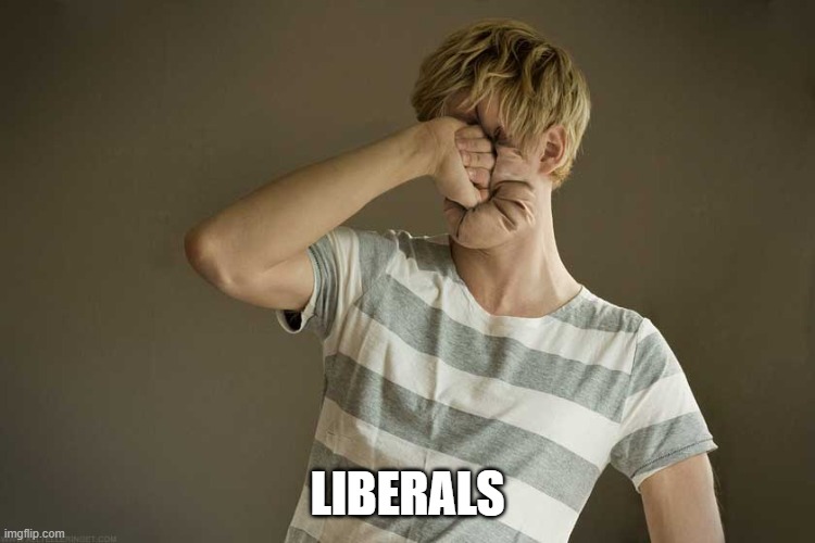 Punching Yourself In The Face | LIBERALS | image tagged in punching yourself in the face | made w/ Imgflip meme maker