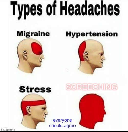 Types of Headaches meme | SCREECHING; everyone should agree | image tagged in types of headaches meme | made w/ Imgflip meme maker
