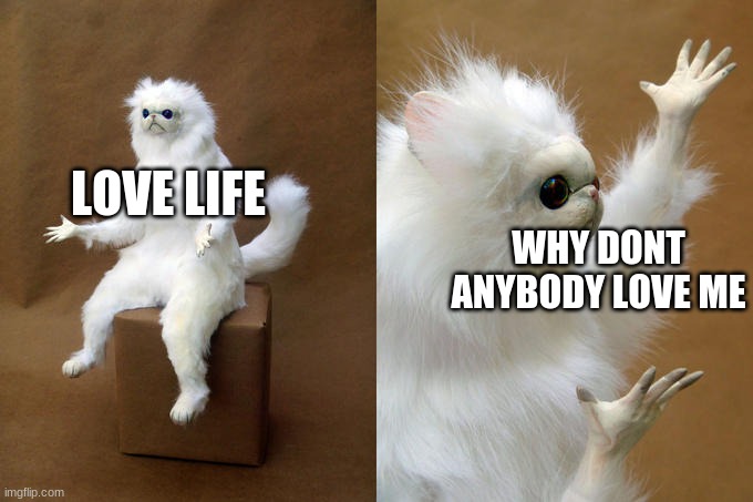 Persian Cat Room Guardian Meme | LOVE LIFE; WHY DONT ANYBODY LOVE ME | image tagged in memes,persian cat room guardian | made w/ Imgflip meme maker