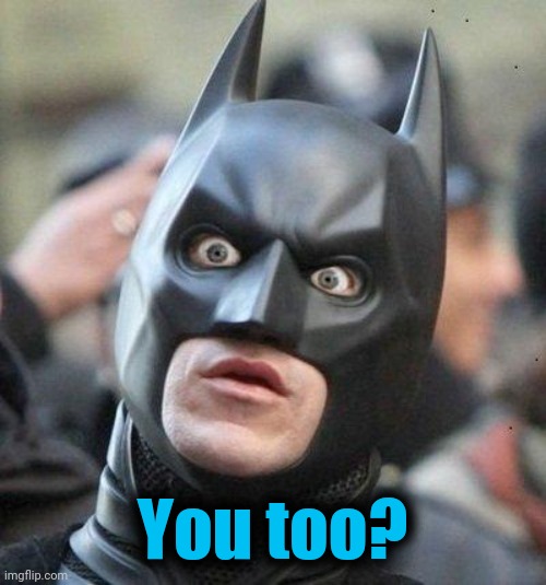 Shocked Batman | You too? | image tagged in shocked batman | made w/ Imgflip meme maker