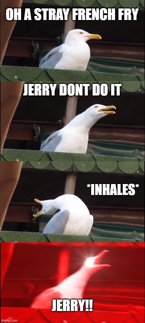 Inhaling Seagull Meme |  OH A STRAY FRENCH FRY; JERRY DONT DO IT; *INHALES*; JERRY!! | image tagged in memes,inhaling seagull | made w/ Imgflip meme maker