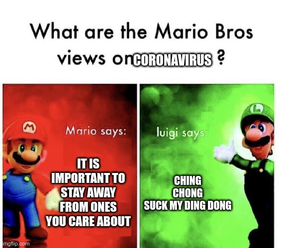 Mario Bros Views | CORONAVIRUS; IT IS IMPORTANT TO STAY AWAY FROM ONES YOU CARE ABOUT; CHING CHONG SUCK MY DING DONG | image tagged in mario bros views | made w/ Imgflip meme maker