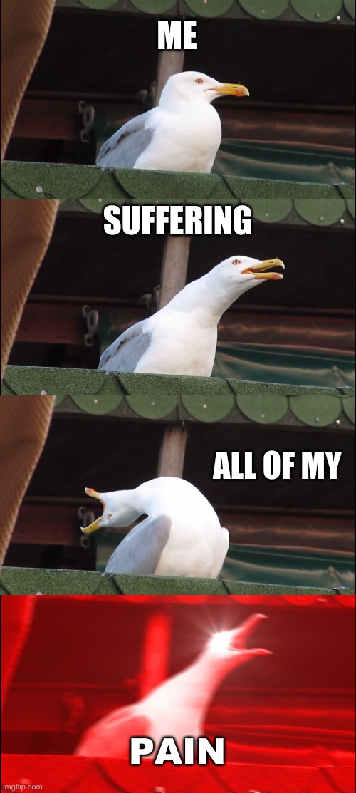 Inhaling Seagull | ME; SUFFERING; ALL OF MY; PAIN | image tagged in memes,inhaling seagull | made w/ Imgflip meme maker