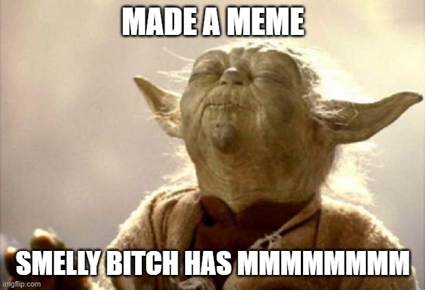 yoda smell | MADE A MEME SMELLY B**CH HAS MMMMMMMM | image tagged in yoda smell | made w/ Imgflip meme maker