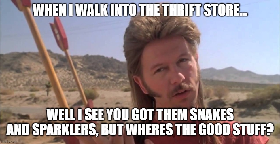 Joe Dirt | WHEN I WALK INTO THE THRIFT STORE... WELL I SEE YOU GOT THEM SNAKES AND SPARKLERS, BUT WHERES THE GOOD STUFF? | image tagged in joe dirt | made w/ Imgflip meme maker