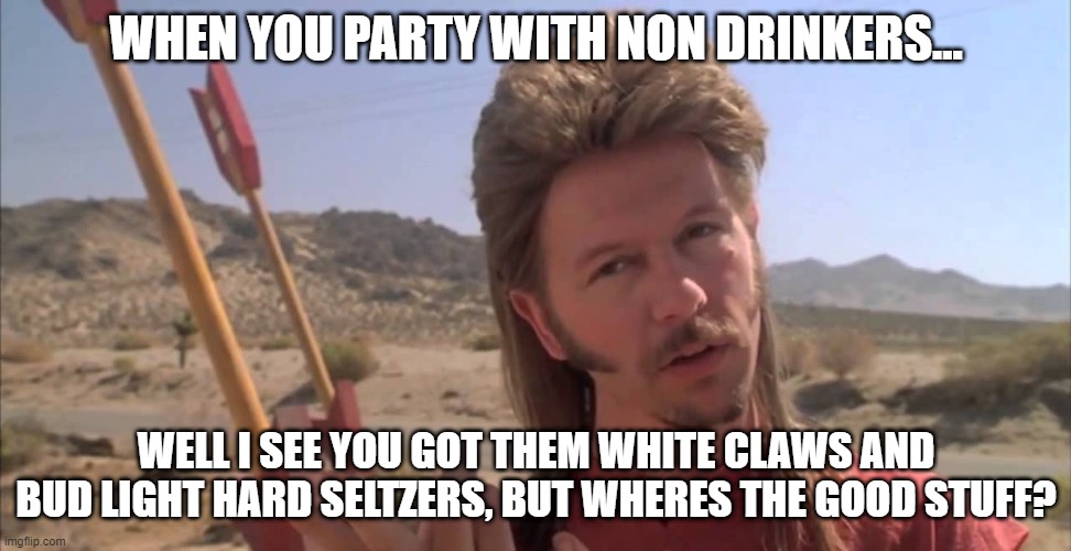 Joe Dirt | WHEN YOU PARTY WITH NON DRINKERS... WELL I SEE YOU GOT THEM WHITE CLAWS AND BUD LIGHT HARD SELTZERS, BUT WHERES THE GOOD STUFF? | image tagged in joe dirt | made w/ Imgflip meme maker