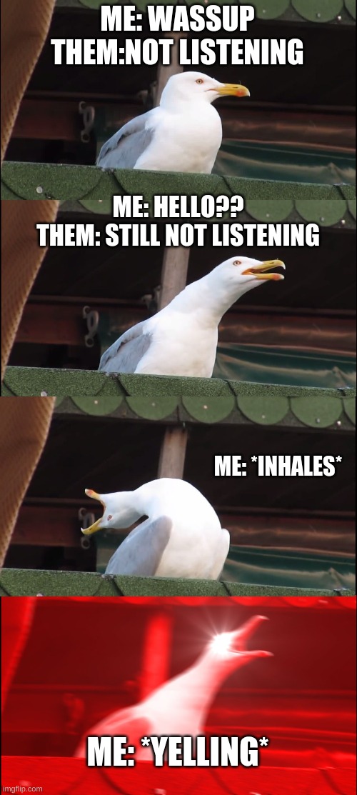 Inhaling Seagull Meme | ME: WASSUP
THEM:NOT LISTENING; ME: HELLO??
THEM: STILL NOT LISTENING; ME: *INHALES*; ME: *YELLING* | image tagged in memes,inhaling seagull | made w/ Imgflip meme maker