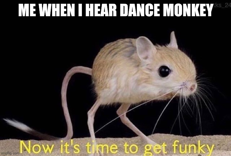 Now it’s time to get funky | ME WHEN I HEAR DANCE MONKEY | image tagged in now its time to get funky | made w/ Imgflip meme maker