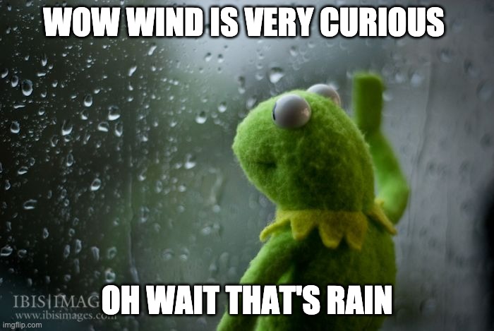 kermit window | WOW WIND IS VERY CURIOUS; OH WAIT THAT'S RAIN | image tagged in kermit window | made w/ Imgflip meme maker