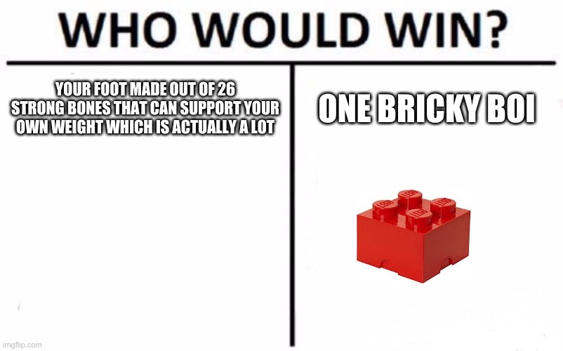 Who Would Win? | YOUR FOOT MADE OUT OF 26 STRONG BONES THAT CAN SUPPORT YOUR OWN WEIGHT WHICH IS ACTUALLY A LOT; ONE BRICKY BOI | image tagged in memes,who would win | made w/ Imgflip meme maker