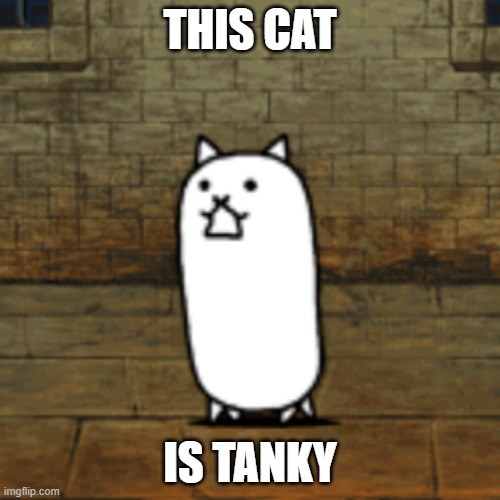 The Battle Cats Tank Cat | THIS CAT; IS TANKY | image tagged in the battle cats tank cat | made w/ Imgflip meme maker