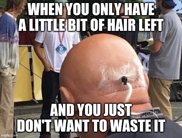 Little wittle ponytail ? | WHEN YOU ONLY HAVE A LITTLE BIT OF HAIR LEFT; AND YOU JUST DON'T WANT TO WASTE IT | image tagged in hahahaha,lol | made w/ Imgflip meme maker