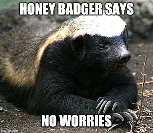 Honey badger no fucks | HONEY BADGER SAYS NO WORRIES | image tagged in honey badger no fucks | made w/ Imgflip meme maker