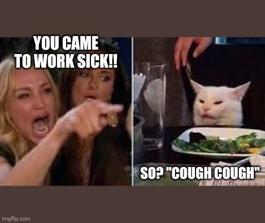 Smudge cat coronavirus | YOU CAME TO WORK SICK!! SO? "COUGH COUGH" | image tagged in coronavirus,smudge the cat,viral meme,corona virus,covid-19 | made w/ Imgflip meme maker