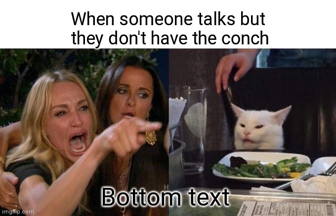 Woman Yelling At Cat | When someone talks but they don't have the conch; Bottom text | image tagged in memes,woman yelling at cat | made w/ Imgflip meme maker