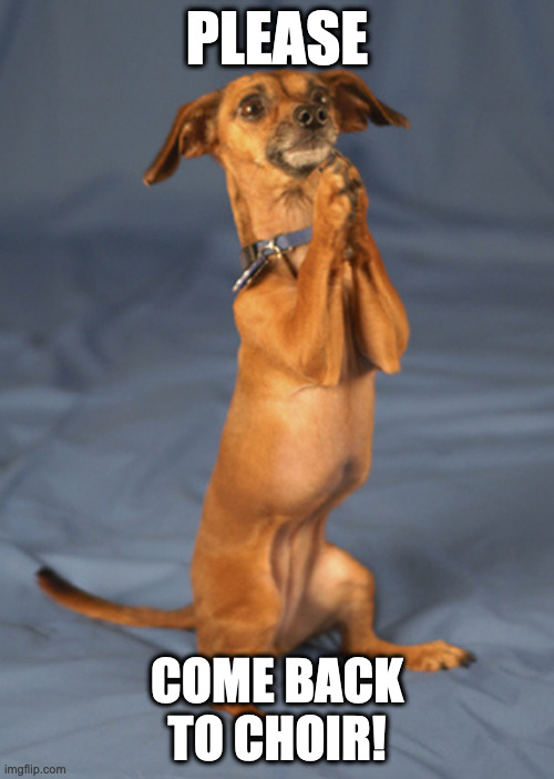 Begging dog | PLEASE; COME BACK TO CHOIR! | image tagged in begging dog | made w/ Imgflip meme maker