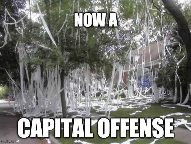 NOW A; CAPITAL OFFENSE | image tagged in tp,coronavirus,panic,prepper,capital offense,tp house | made w/ Imgflip meme maker