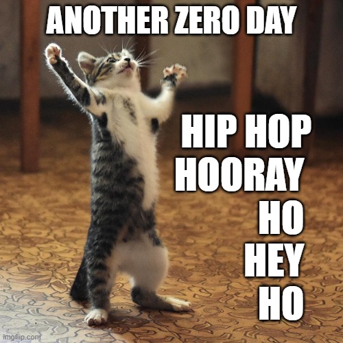 ANOTHER ZERO DAY; HIP HOP
 HOORAY 
HO 
HEY 
HO | image tagged in hooray zero | made w/ Imgflip meme maker