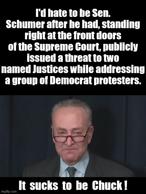 It Sucks To Be Chuck | I'd hate to be Sen. Schumer after he had, standing right at the front doors of the Supreme Court, publicly issued a threat to two named Justices while addressing a group of Democrat protesters. It  sucks  to  be  Chuck ! | image tagged in chuck schumer crying,angry mob | made w/ Imgflip meme maker