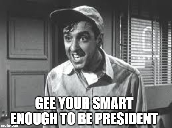 Gomer Pyle | GEE YOUR SMART ENOUGH TO BE PRESIDENT | image tagged in gomer pyle | made w/ Imgflip meme maker