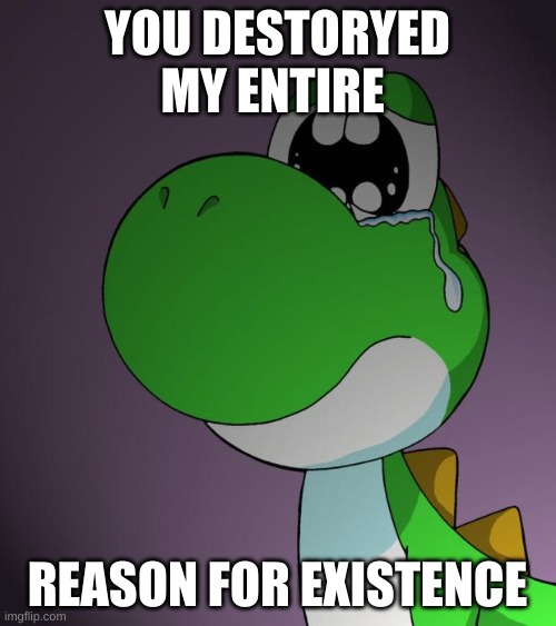 Sad Yoshi | YOU DESTORYED MY ENTIRE REASON FOR EXISTENCE | image tagged in sad yoshi | made w/ Imgflip meme maker