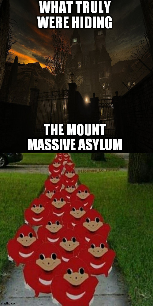 Ugandan knuckles army | WHAT TRULY WERE HIDING; THE MOUNT MASSIVE ASYLUM | image tagged in ugandan knuckles army | made w/ Imgflip meme maker