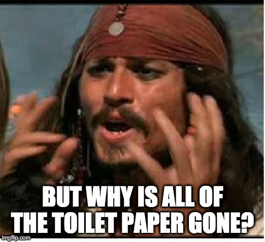 Jack Sparrow | BUT WHY IS ALL OF THE TOILET PAPER GONE? | image tagged in jack sparrow | made w/ Imgflip meme maker