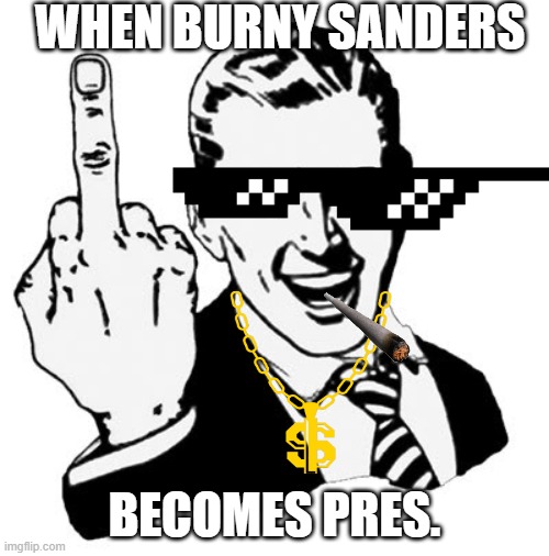 1950s Middle Finger Meme | WHEN BURNY SANDERS; BECOMES PRES. | image tagged in memes,1950s middle finger | made w/ Imgflip meme maker