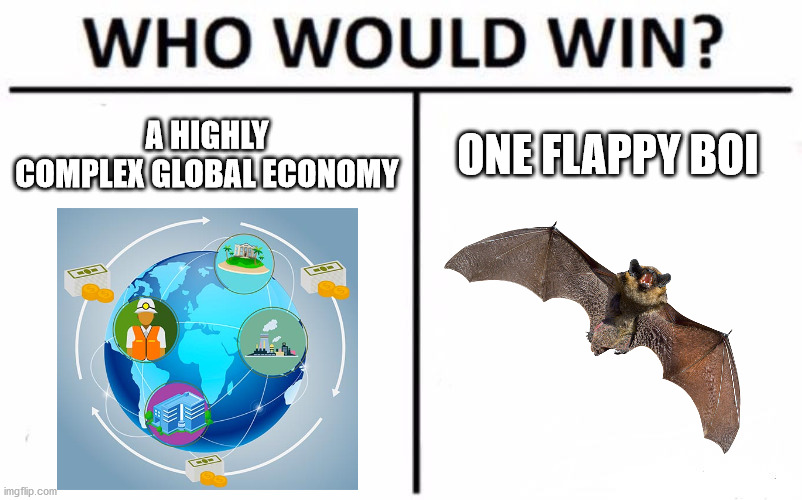 Who Would Win? | A HIGHLY COMPLEX GLOBAL ECONOMY; ONE FLAPPY BOI | image tagged in memes,who would win | made w/ Imgflip meme maker