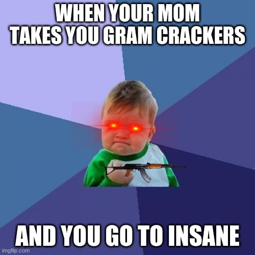 Success Kid | WHEN YOUR MOM TAKES YOU GRAM CRACKERS; AND YOU GO TO INSANE | image tagged in memes,success kid | made w/ Imgflip meme maker