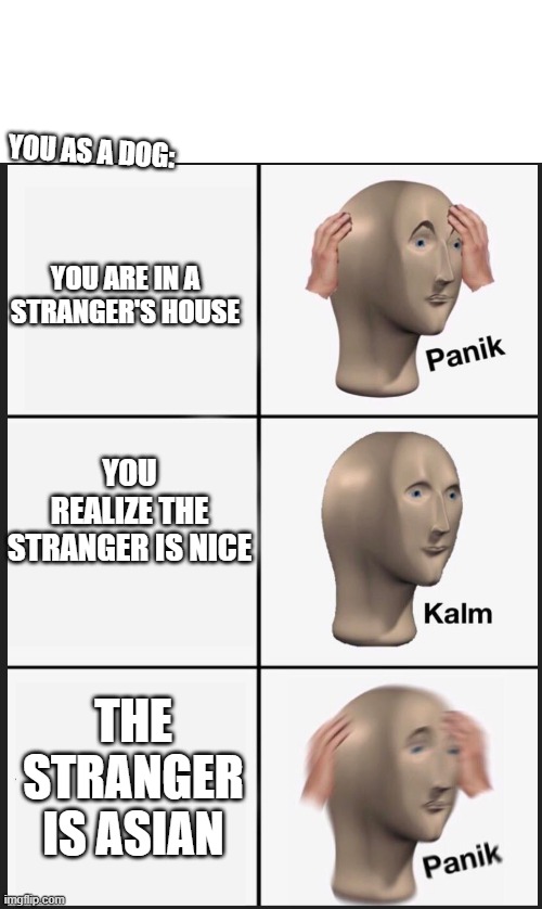YOU AS A DOG:; YOU ARE IN A STRANGER'S HOUSE; YOU REALIZE THE STRANGER IS NICE; THE STRANGER IS ASIAN | image tagged in blank white template,panik calm panik | made w/ Imgflip meme maker