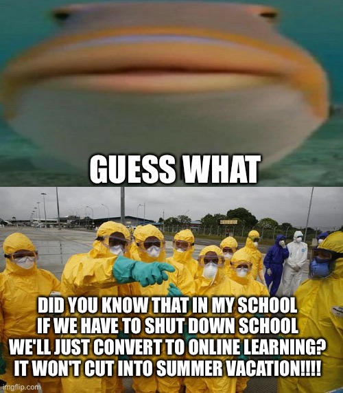GUESS WHAT; DID YOU KNOW THAT IN MY SCHOOL IF WE HAVE TO SHUT DOWN SCHOOL WE'LL JUST CONVERT TO ONLINE LEARNING? IT WON'T CUT INTO SUMMER VACATION!!!! | image tagged in helo,coronavirus body suit | made w/ Imgflip meme maker